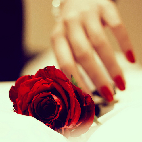 ���� ���� ������ �� ���� ������